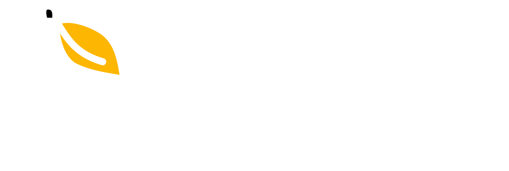 MangoProxy