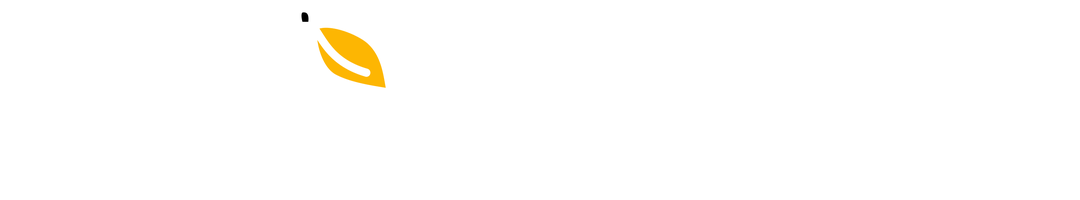 MangoProxy